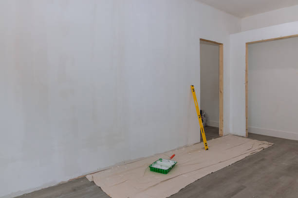 Best Drywall Sanding and Smoothing  in Evansville, WI