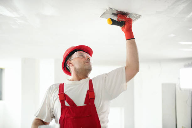 Best Ceiling Drywall Installation  in Evansville, WI